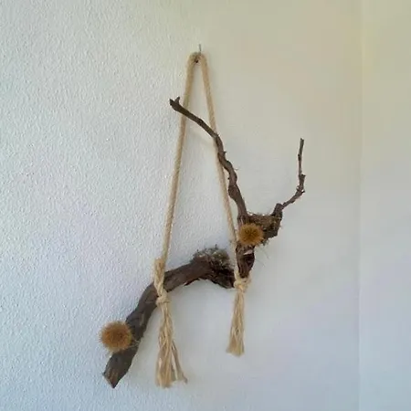 Ferienwohnung Encosta Do Sol Canas de Senhorim Exterior foto